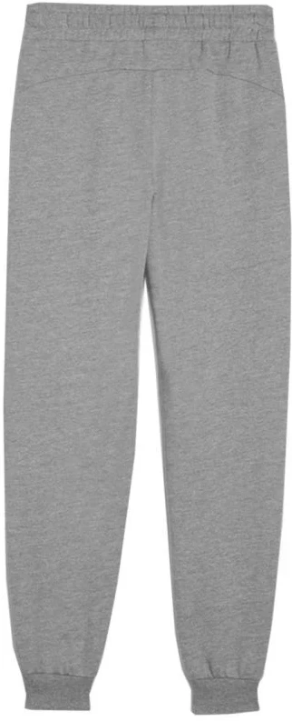 Puma Team Goal Jr kelnės 658601 06