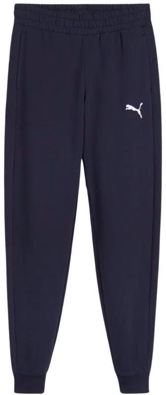 Puma Team Goal Jr kelnės 658601 06