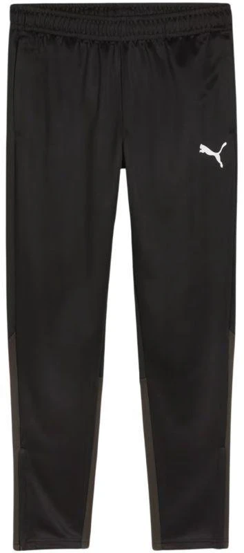 Puma Team Goal treniruočių kelnės M 658639 03