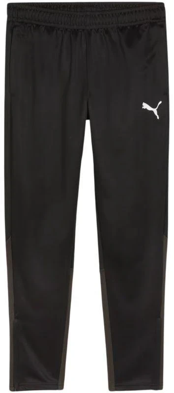 Puma Team Goal treniruočių kelnės M 658639 03