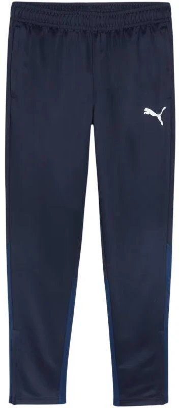 Puma Team Goal treniruočių kelnės M 658639 06