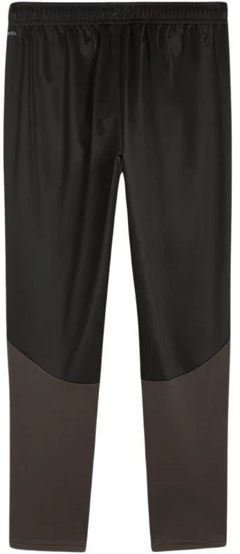 Puma Team Goal treniruočių kelnės M 658639 03