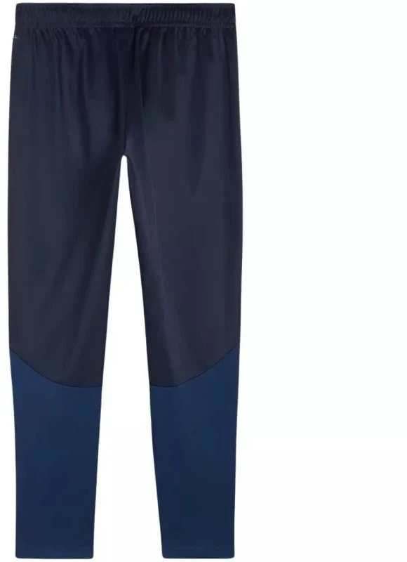 Puma Team Goal treniruočių kelnės M 658639 06