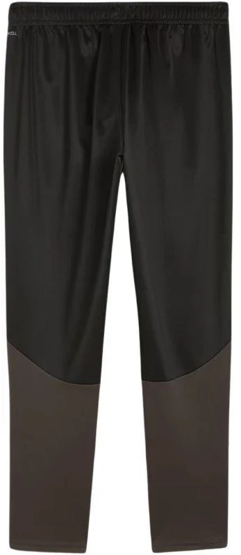 Puma Team Goal treniruočių kelnės M 658639 03