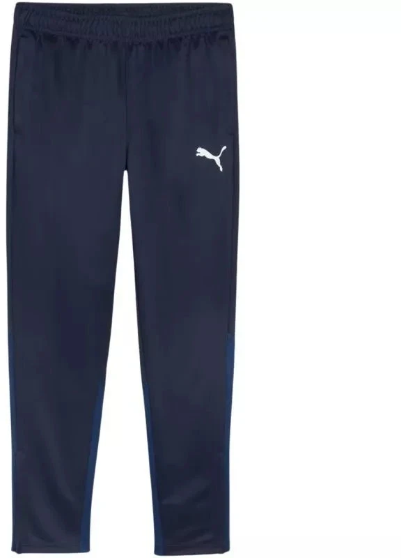 Puma Team Goal treniruočių kelnės M 658639 06