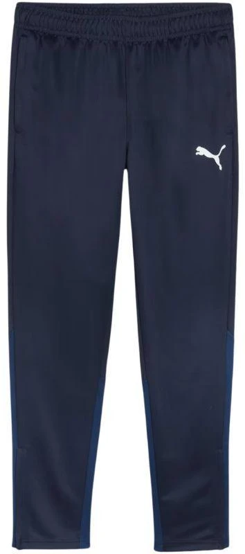 Puma Team Goal treniruočių kelnės M 658639 06