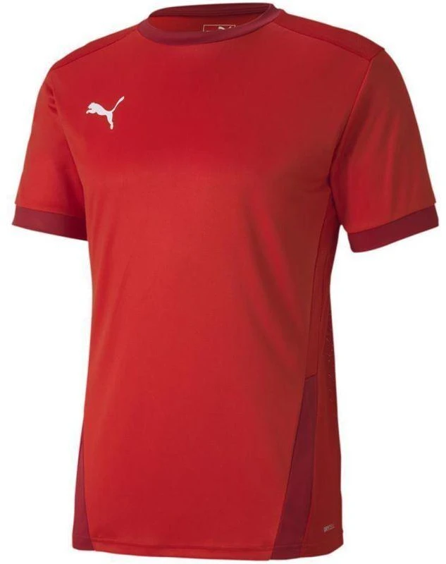 Puma teamGOAL 23 Džersis M 704171 01