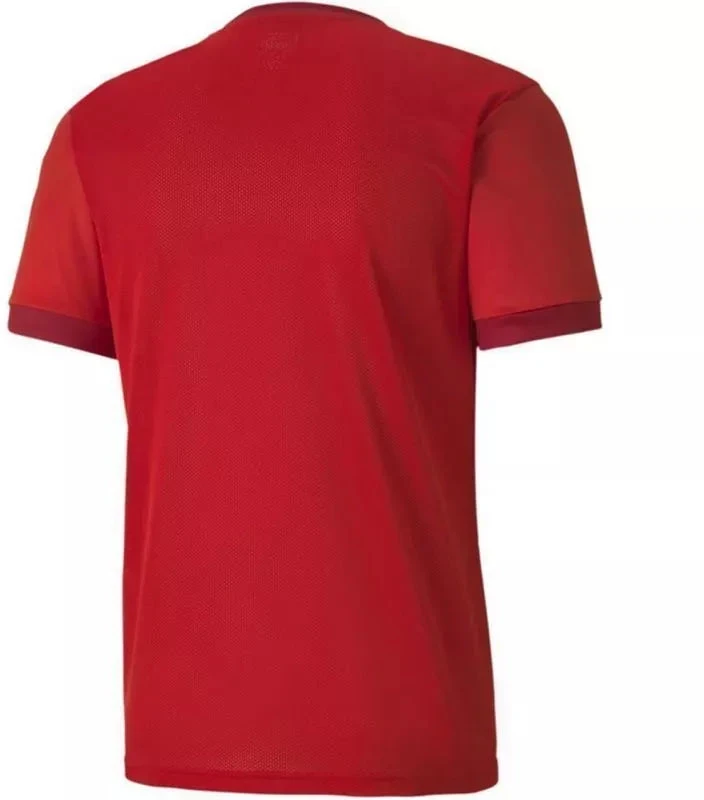 Puma teamGOAL 23 Džersis M 704171 01