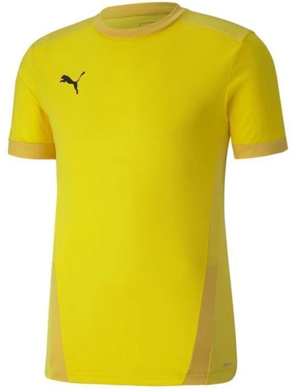 Puma teamGOAL 23 Džersis M 704171 07