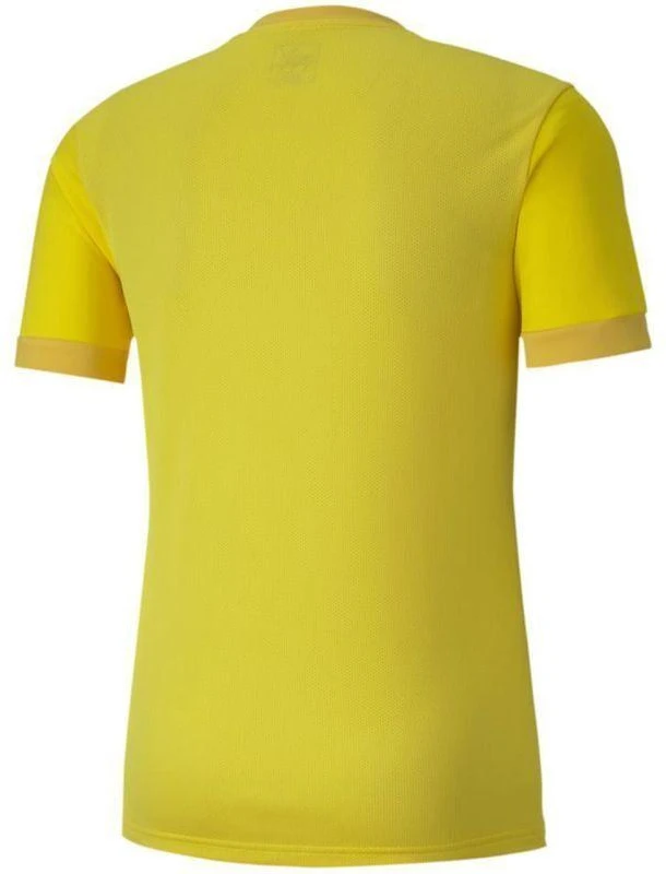Puma teamGOAL 23 Džersis M 704171 07