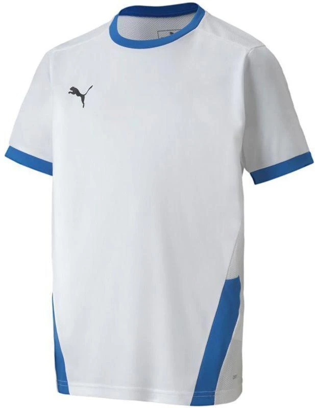 Puma teamGOAL 23 marškinėliai Jr 704160 12