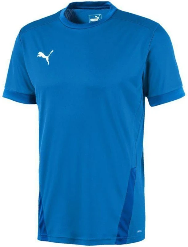 Puma teamGOAL 23 marškinėliai M 704171 02