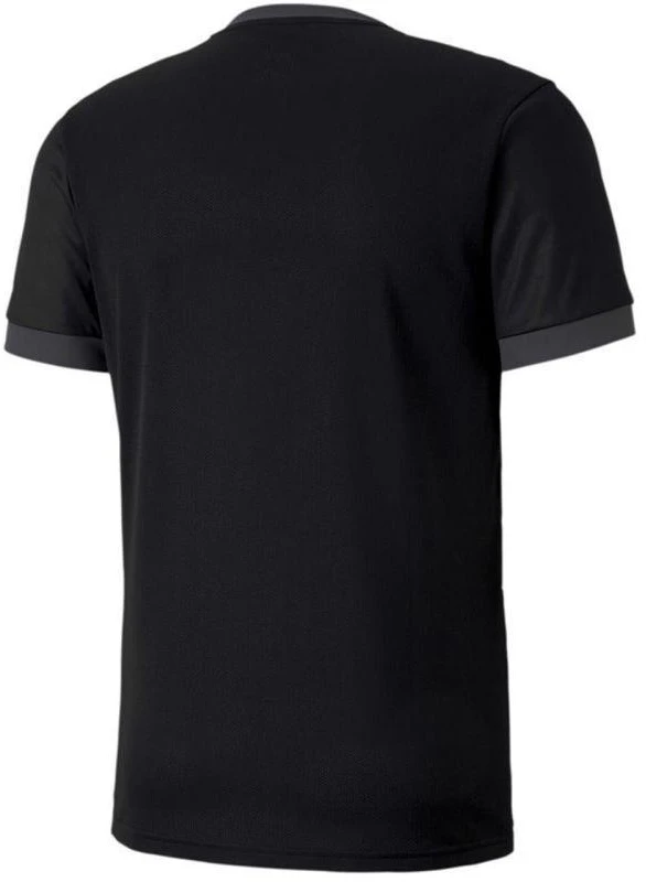 Puma teamGOAL 23 marškinėliai M 704171 03
