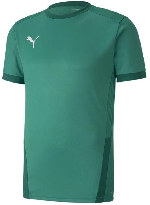 Puma teamGOAL 23 Marškinėliai M 704171 05