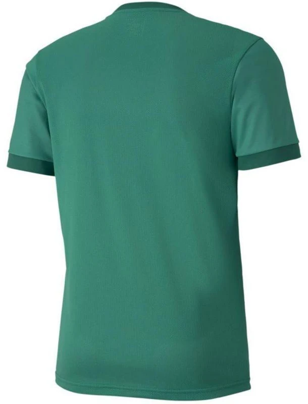 Puma teamGOAL 23 Marškinėliai M 704171 05