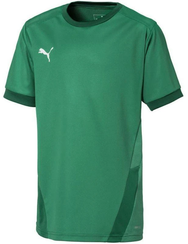 Puma teamGOAL 23 Marškiniai Jr 704160 05