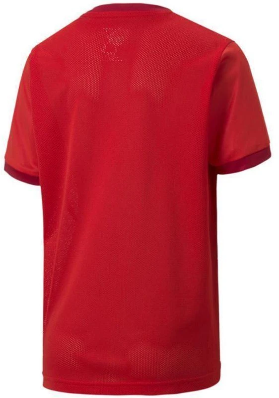 Puma teamGOAL 23 marškiniai vaikams 704160 01