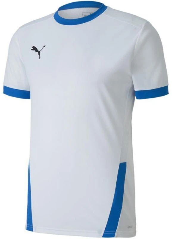 Puma teamGOAL 23 sportiniai marškinėliai M 704171 12