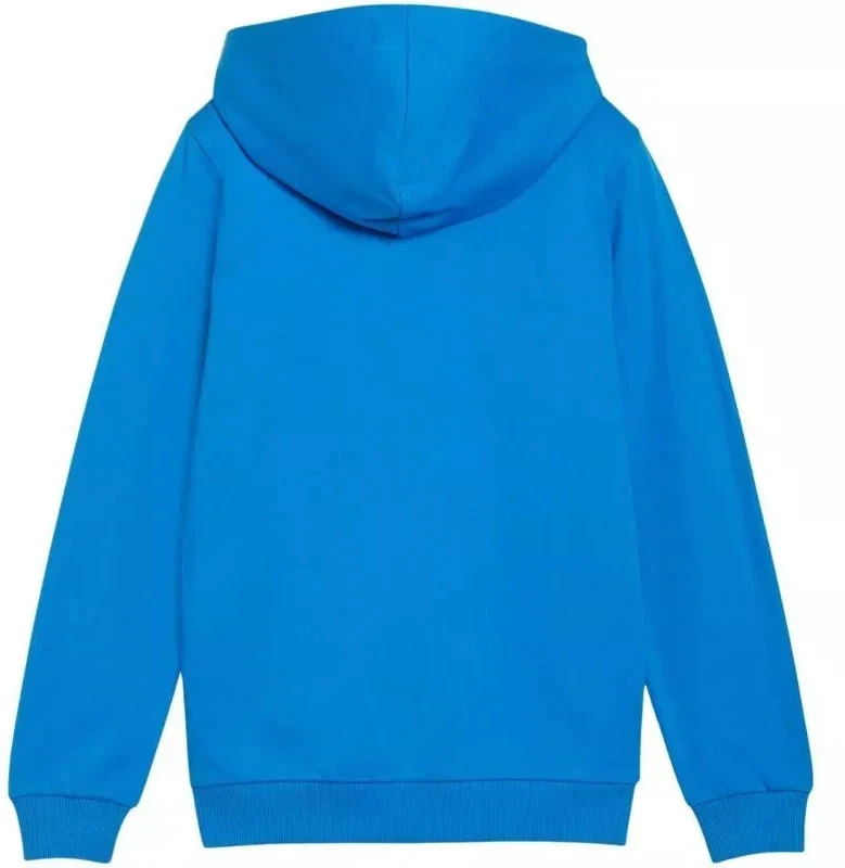 Puma teamGoal Laisvalaikio Hooded Jr džemperis su gobtuvu 658596 02