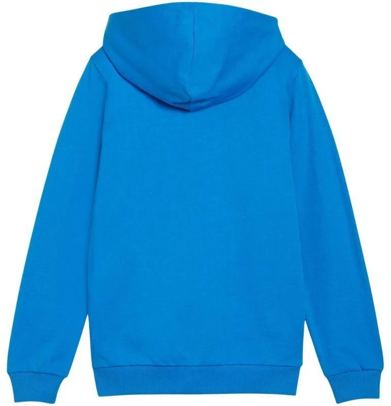 Puma teamGoal Laisvalaikio Hooded Jr džemperis su gobtuvu 658596 02