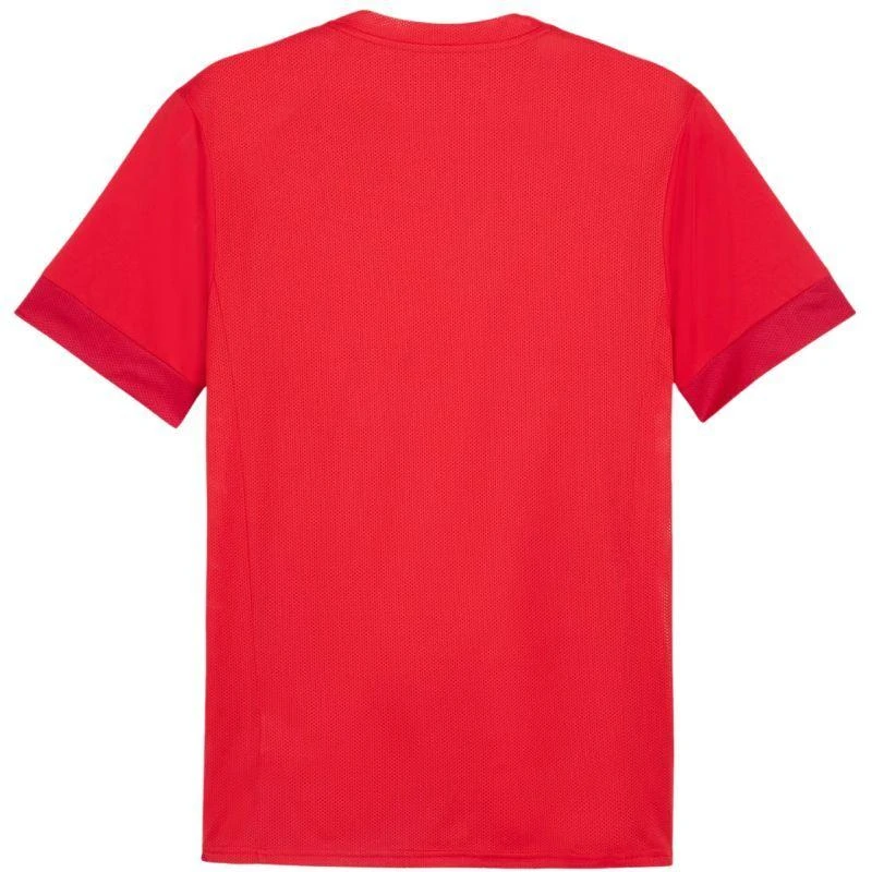 Puma teamGoal Matchday Jersey M 705747 01