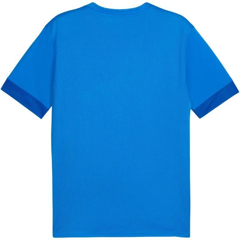 Puma teamGoal Matchday Jersey M 705747 02
