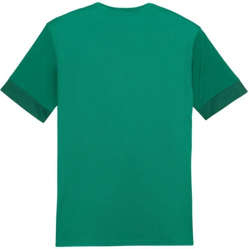 Puma teamGoal Matchday Jersey M 705747 05