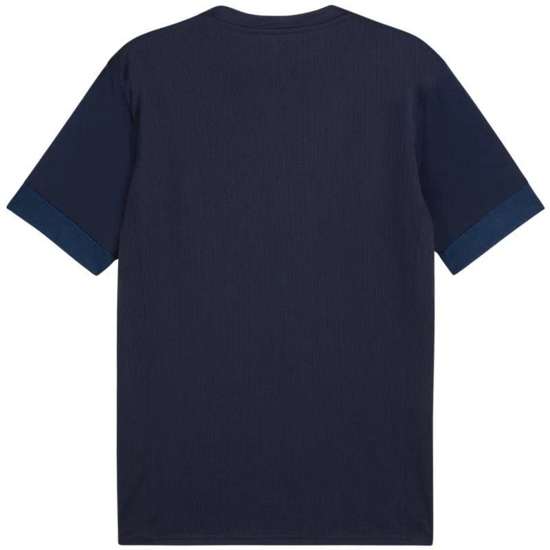 Puma teamGoal Matchday Jersey M 705747 06