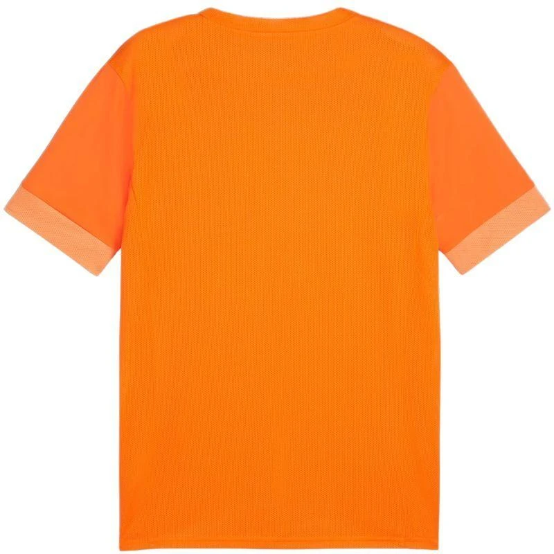 Puma teamGoal Matchday Jersey M 705747 08