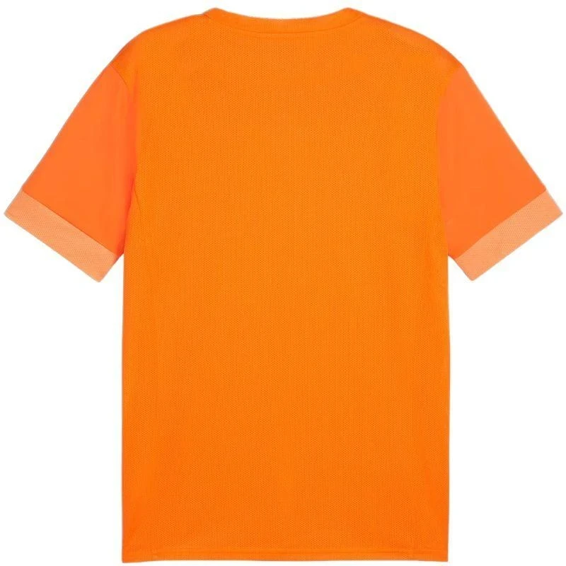 Puma teamGoal Matchday Jersey M 705747 08