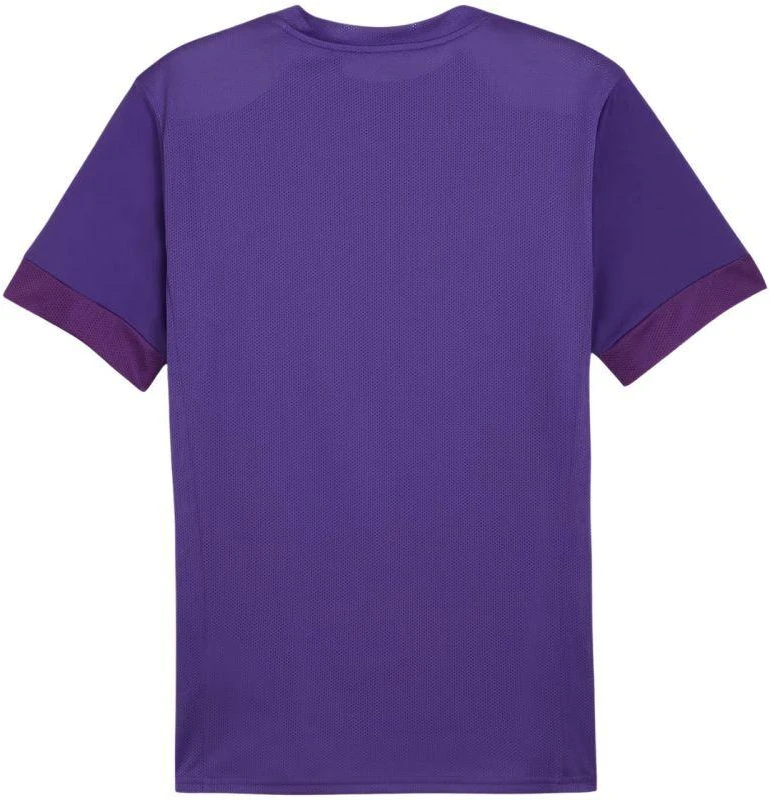 Puma teamGoal Matchday Jersey M 705747 10