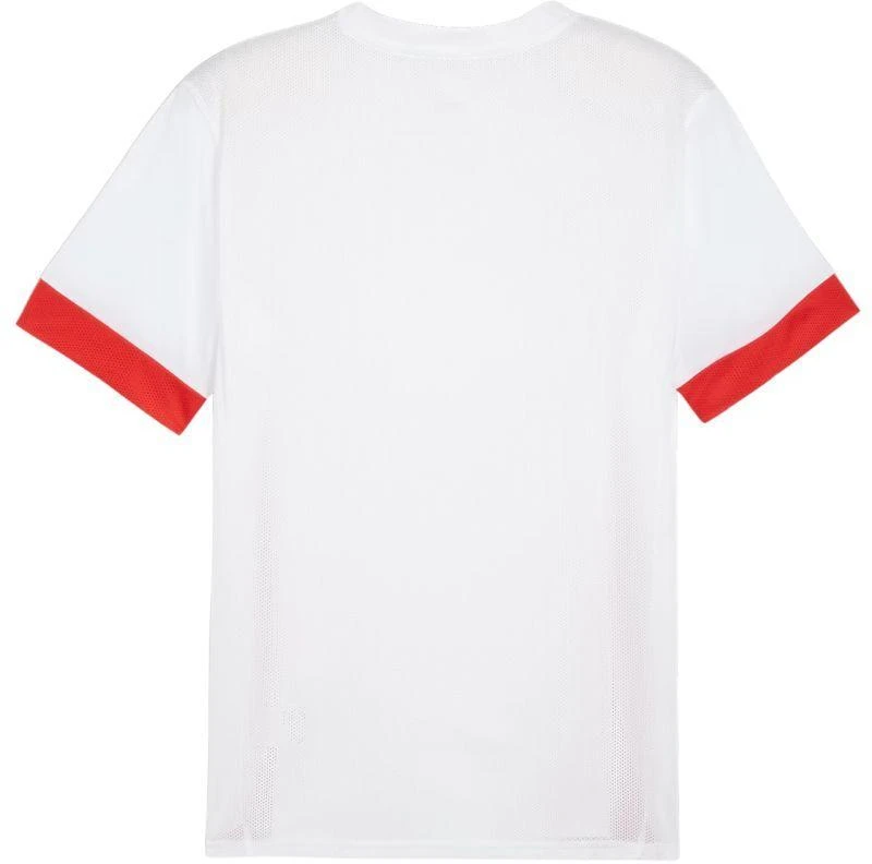 Puma teamGoal Matchday Jersey M 705747 11