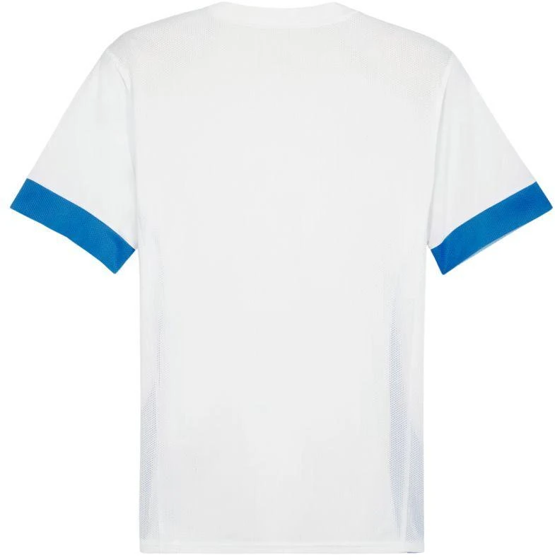 Puma teamGoal Matchday Jersey M 705747 12