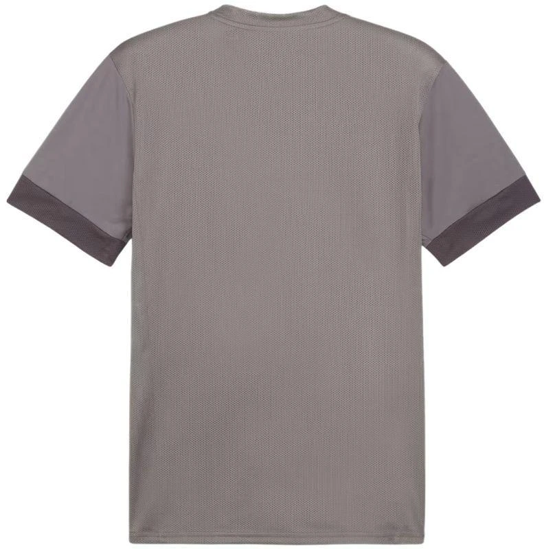 Puma teamGoal Matchday Jersey M 705747 13