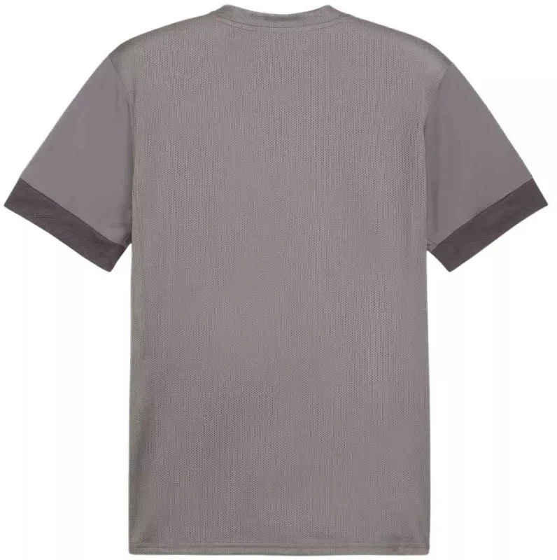 Puma teamGoal Matchday Jersey M 705747 13