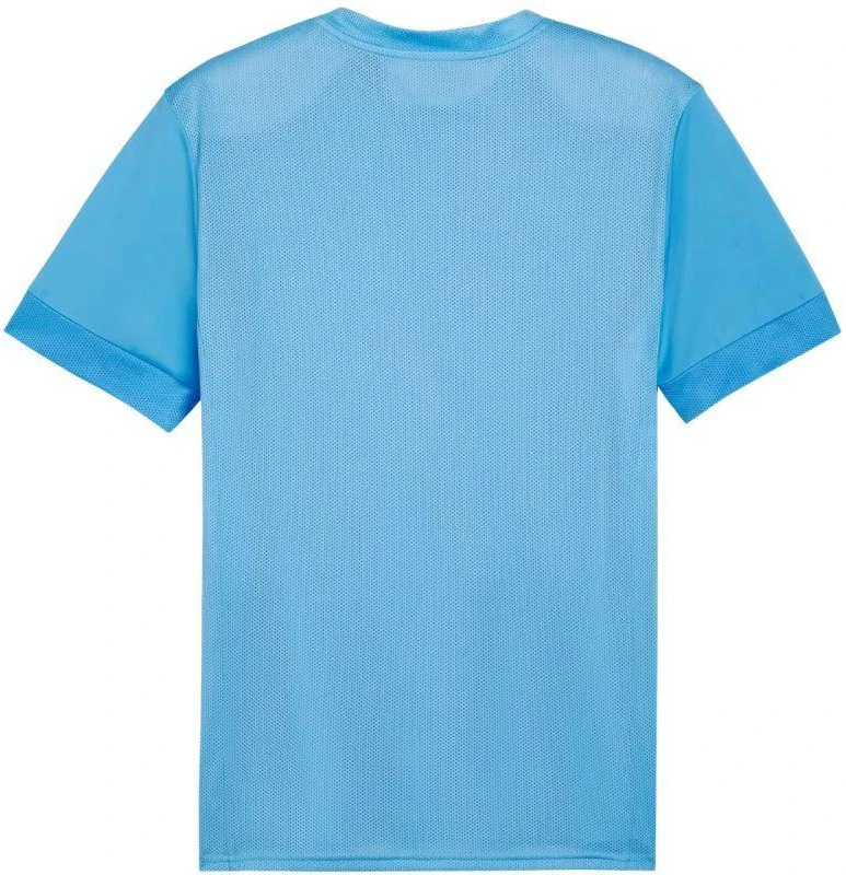 Puma teamGoal Matchday Jersey M 705747 18