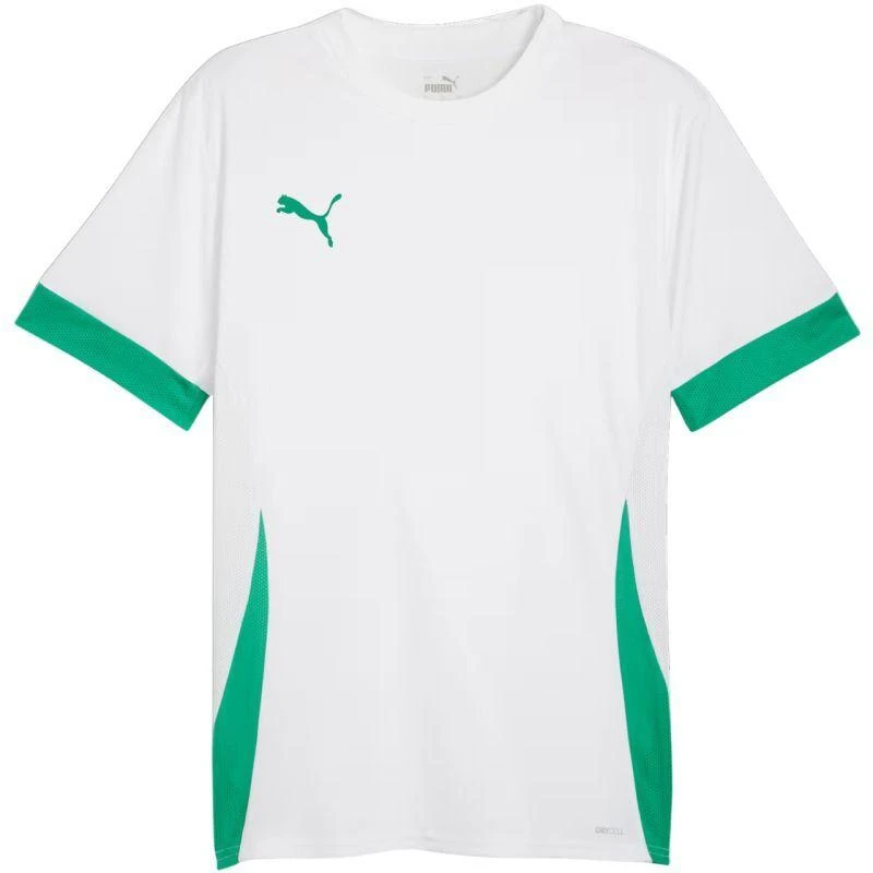 Puma teamGoal Varžybų marškinėliai vyriški balta-žalia 705747 15