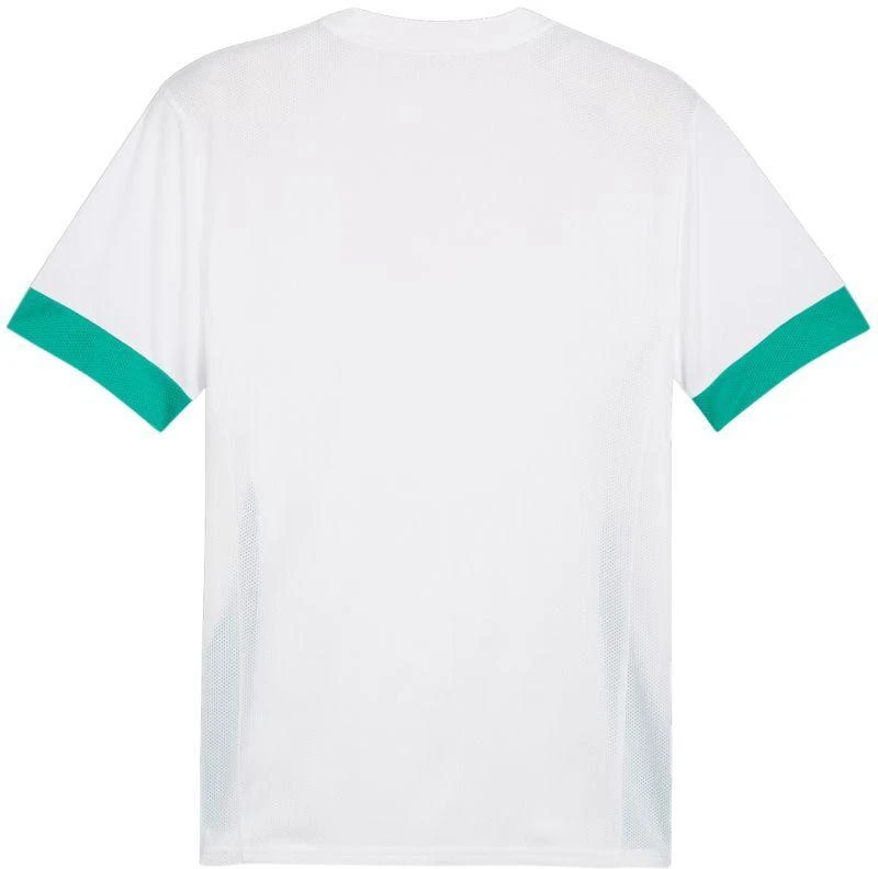 Puma teamGoal Varžybų marškinėliai vyriški balta-žalia 705747 15