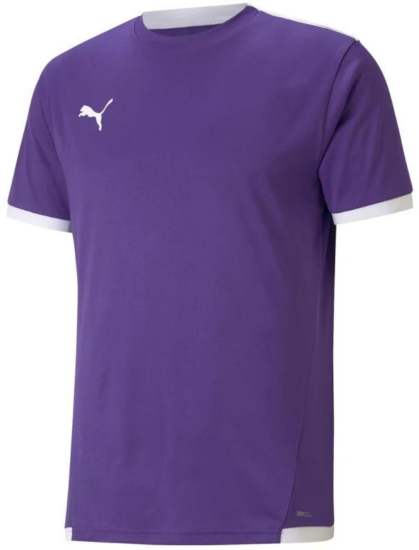 Puma teamLIGA Jersey M 704917 10
