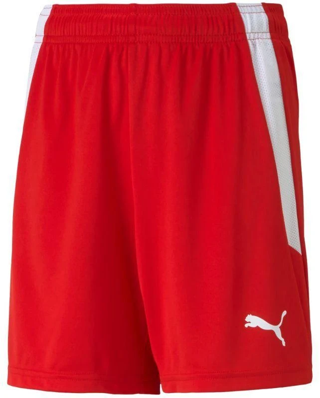 Puma teamLIGA Jr 704931 01 šortai