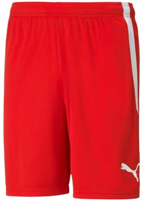Puma teamLIGA M 704924 01 šortai