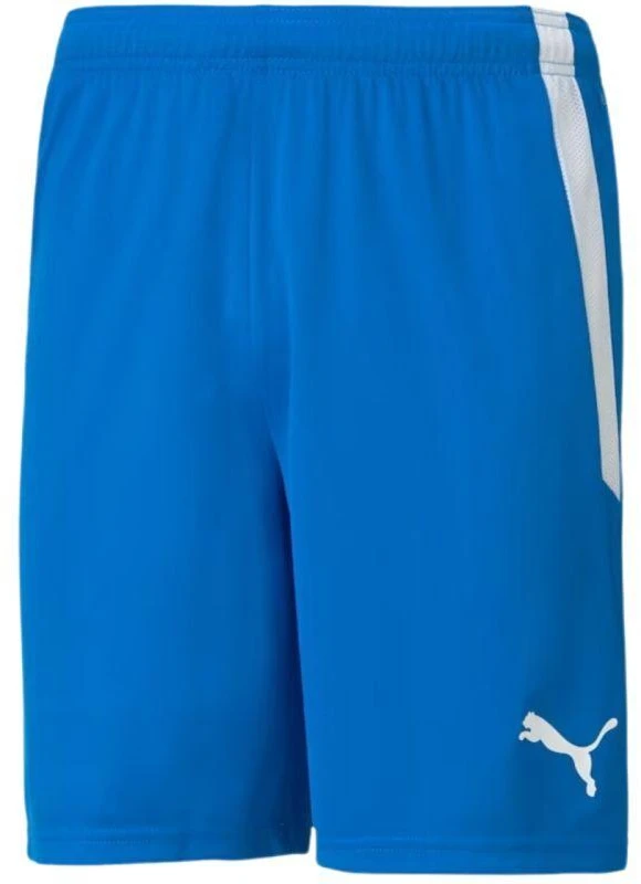 Puma teamLIGA M 704924 02 šortai
