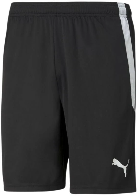 Puma teamLiga M 704924 03 šortai