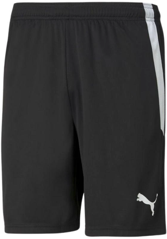 Puma teamLiga M 704924 03 šortai