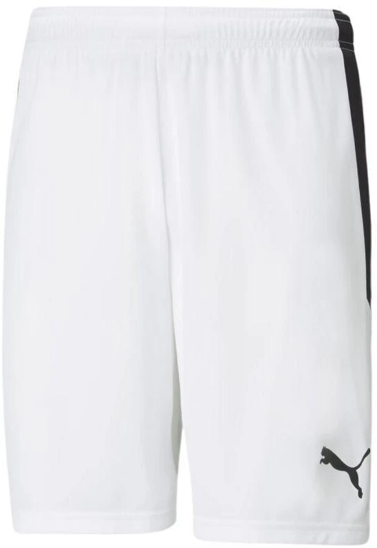 Puma teamLIGA M 704924 04 šortai