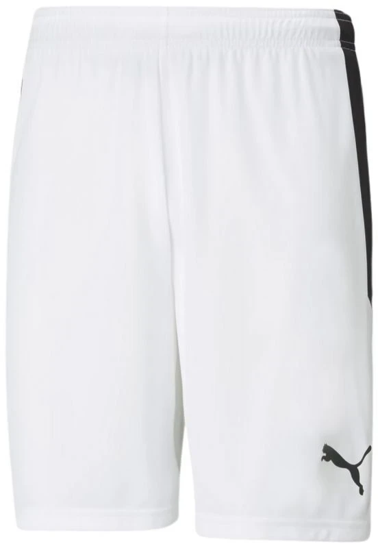 Puma teamLIGA M 704924 04 šortai