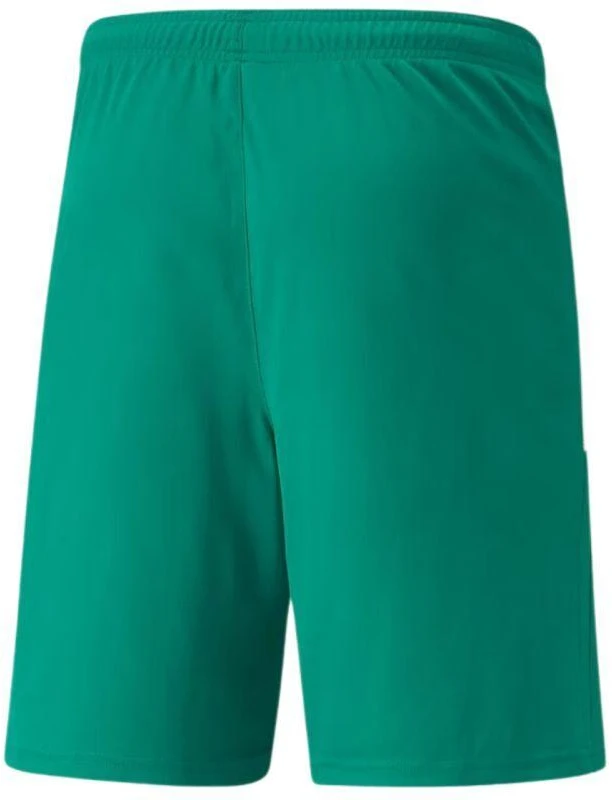 Puma teamLiga M 704924 05 šortai