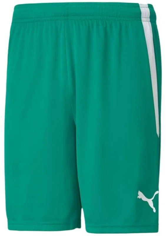 Puma teamLiga M 704924 05 šortai