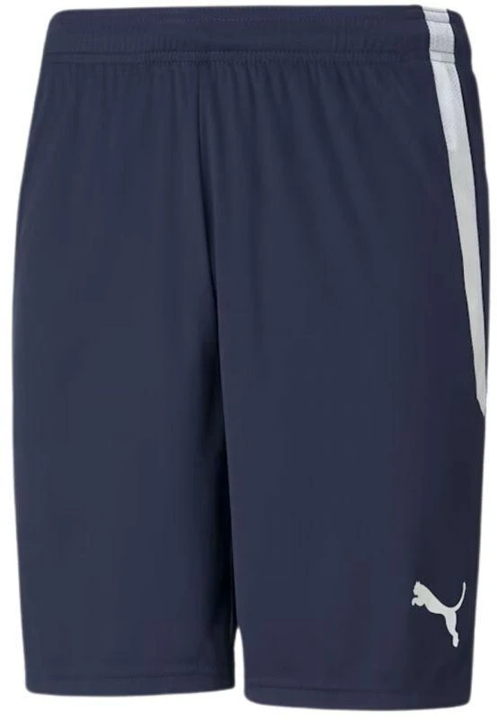 Puma teamLIGA M 704924 06 šortai