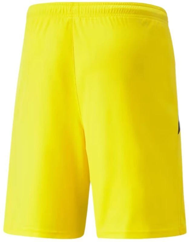 Puma teamLIGA M 704924 07 šortai